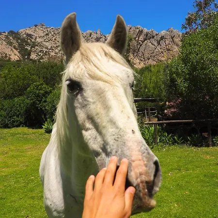 Apartment Horses And Nature Tarifa