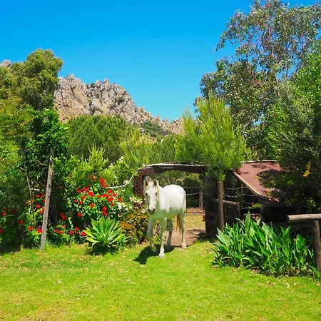 Apartment Horses And Nature