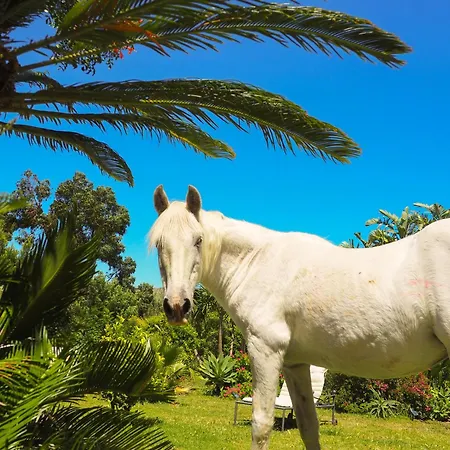 Horses And Nature * Tarifa
