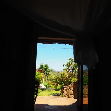 Horses And Nature Apartment