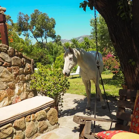 Horses And Nature Apartment *
