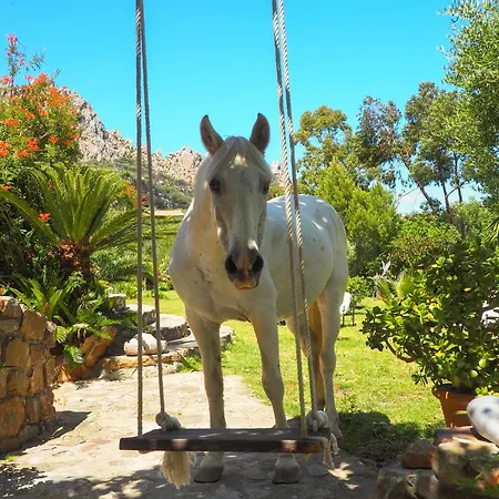 Horses And Nature Tarifa