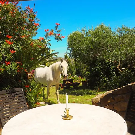 Horses And Nature * Tarifa