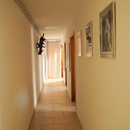 Apartment Horses And Nature *