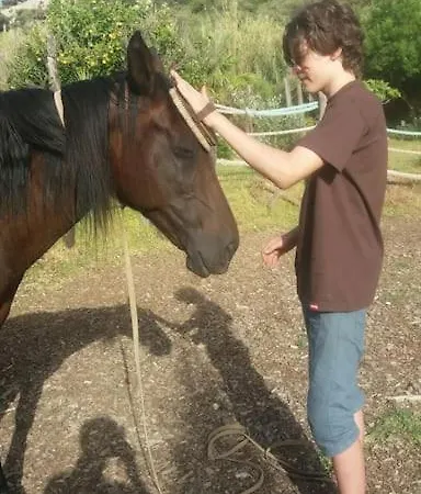 Horses And Nature * Tarifa