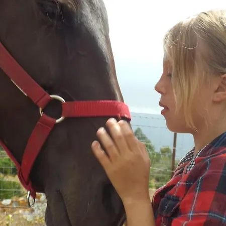 Horses And Nature Apartment