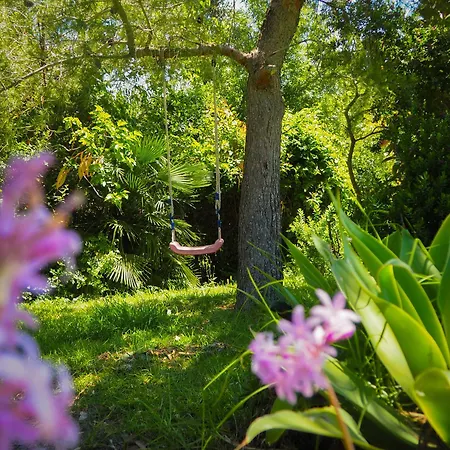 Apartment Horses And Nature Tarifa