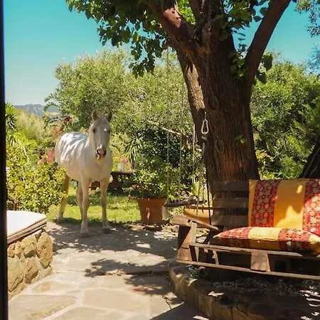 Horses And Nature Apartment *