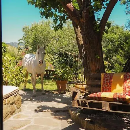 Horses And Nature Apartment *