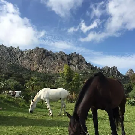 Horses And Nature * Tarifa