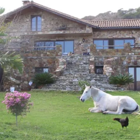 Apartment Horses And Nature