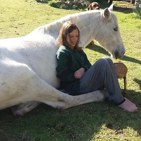 Apartment Horses And Nature Tarifa