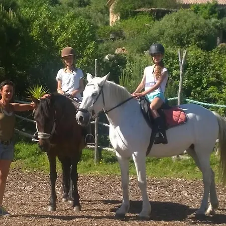 Horses And Nature Tarifa