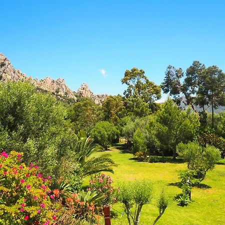 Horses And Nature Apartment